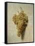 White Grapes-Louis-Léopold Boilly-Framed Stretched Canvas