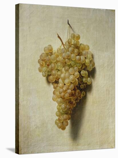 White Grapes-Louis-Léopold Boilly-Stretched Canvas