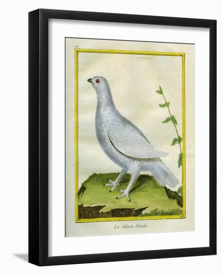 White Grouse-Georges-Louis Buffon-Framed Giclee Print