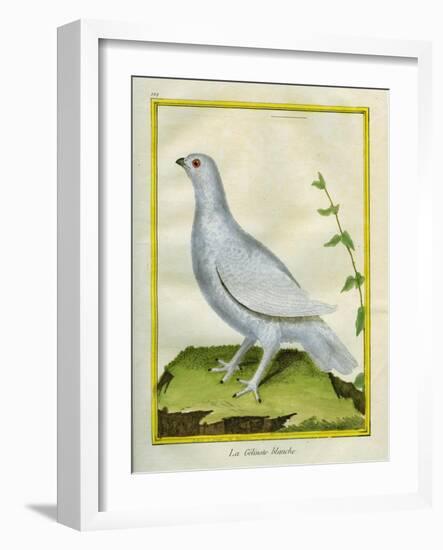 White Grouse-Georges-Louis Buffon-Framed Giclee Print