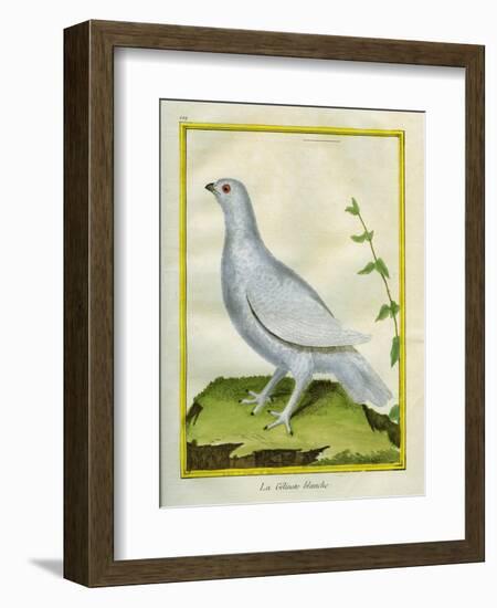 White Grouse-Georges-Louis Buffon-Framed Giclee Print