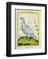 White Grouse-Georges-Louis Buffon-Framed Giclee Print