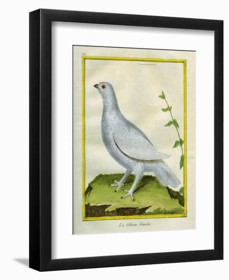 White Grouse-Georges-Louis Buffon-Framed Giclee Print