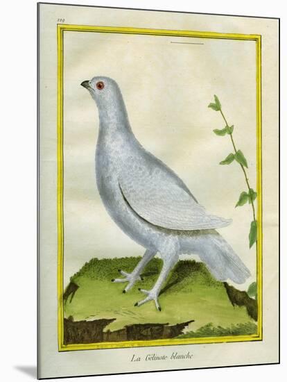 White Grouse-Georges-Louis Buffon-Mounted Giclee Print