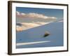 White gypsum dunes with yuccas (Yucca elata), White Sands National Monument, New Mexico, USA-Panoramic Images-Framed Photographic Print