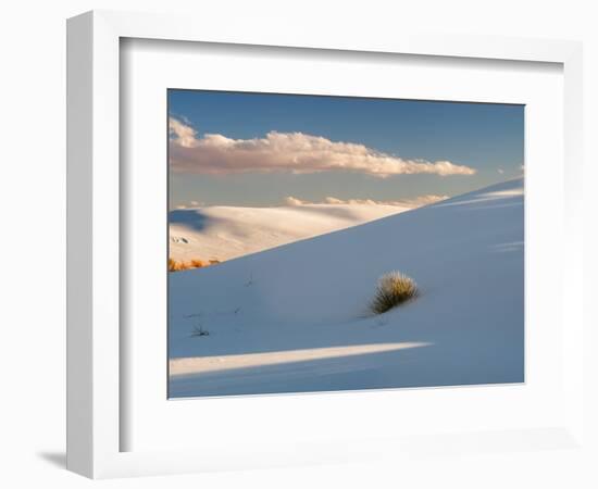 White gypsum dunes with yuccas (Yucca elata), White Sands National Monument, New Mexico, USA-Panoramic Images-Framed Photographic Print