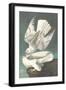 White Gyrfalcon-John James Audubon-Framed Art Print