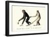 White-Handed Gibbon, 1824-Karl Joseph Brodtmann-Framed Giclee Print