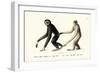 White-Handed Gibbon, 1824-Karl Joseph Brodtmann-Framed Giclee Print