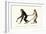 White-Handed Gibbon, 1824-Karl Joseph Brodtmann-Framed Giclee Print