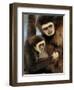 White Handed Gibbon Mother and Young, Endangered, from Se Asia-Eric Baccega-Framed Photographic Print