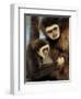 White Handed Gibbon Mother and Young, Endangered, from Se Asia-Eric Baccega-Framed Photographic Print