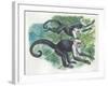 White-Headed Capuchins Cebus Capucinus Jumping in Trees-null-Framed Giclee Print