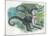 White-Headed Capuchins Cebus Capucinus Jumping in Trees-null-Mounted Giclee Print