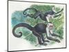 White-Headed Capuchins Cebus Capucinus Jumping in Trees-null-Mounted Giclee Print