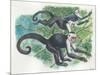 White-Headed Capuchins Cebus Capucinus Jumping in Trees-null-Mounted Giclee Print