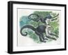 White-Headed Capuchins Cebus Capucinus Jumping in Trees-null-Framed Giclee Print