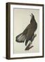 White-Headed Eagle, 1832-John James Audubon-Framed Giclee Print