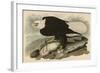 White-Headed Eagle-John James Audubon-Framed Art Print