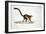 White-Headed Lemur-null-Framed Giclee Print