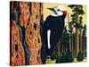 White Headed Woodpecker-Fred Ludekens-Stretched Canvas