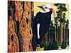 White Headed Woodpecker-Fred Ludekens-Stretched Canvas