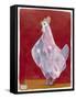 White Hen, Red Background 3-Maria Pietri Lalor-Framed Stretched Canvas