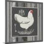 White Hen-Gwendolyn Babbitt-Mounted Art Print