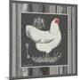 White Hen-Gwendolyn Babbitt-Mounted Art Print