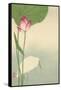 White Heron and Lotus-Baison-Framed Stretched Canvas