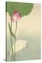 White Heron and Lotus-Baison-Stretched Canvas