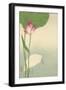 White Heron and Lotus-Baison-Framed Art Print