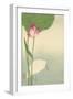 White Heron and Lotus-Baison-Framed Art Print