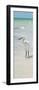 White Heron - Florida-Philippe Hugonnard-Framed Photographic Print