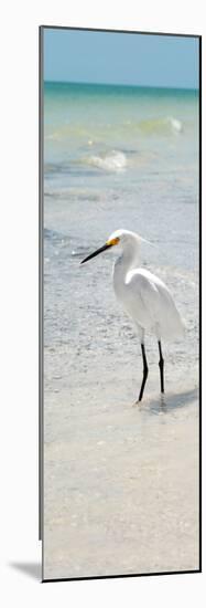 White Heron - Florida-Philippe Hugonnard-Mounted Photographic Print