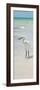 White Heron - Florida-Philippe Hugonnard-Framed Photographic Print