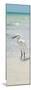 White Heron - Florida-Philippe Hugonnard-Mounted Photographic Print