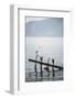 White Heron, Lake Toba (Danau Toba), North Sumatra, Indonesia, Southeast Asia, Asia-Matthew Williams-Ellis-Framed Photographic Print