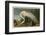 White Heron-John James Audubon-Framed Giclee Print