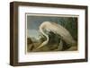 White Heron-John James Audubon-Framed Giclee Print