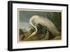 White Heron-John James Audubon-Framed Giclee Print