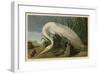 White Heron-John James Audubon-Framed Giclee Print