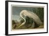 White Heron-John James Audubon-Framed Art Print