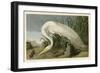 White Heron-John James Audubon-Framed Giclee Print