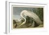 White Heron-John James Audubon-Framed Giclee Print