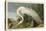 White Heron-John James Audubon-Stretched Canvas