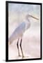 White Heron-Kimberly Allen-Framed Art Print