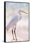 White Heron-Kimberly Allen-Framed Stretched Canvas