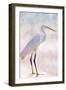 White Heron-Kimberly Allen-Framed Art Print