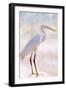 White Heron-Kimberly Allen-Framed Art Print